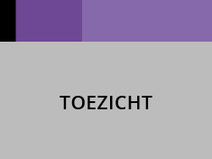 Toezicht