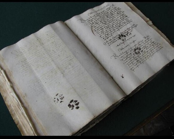 Sporen van andere gebruikers: kattenpoten op een 15de eeuws manuscript uit Dobrovnic