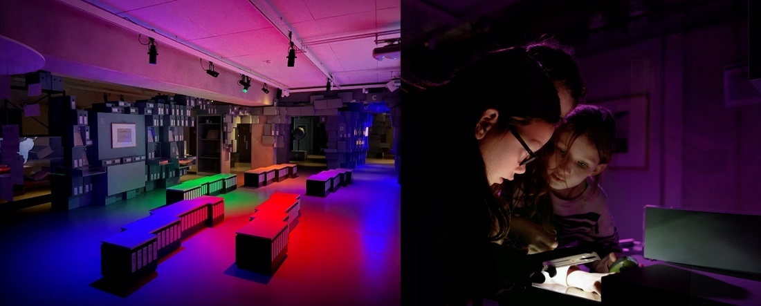 Afbeelding met overdekt, paars, violet, MagentaDoor AI gegenereerde inhoud is mogelijk onjuist.